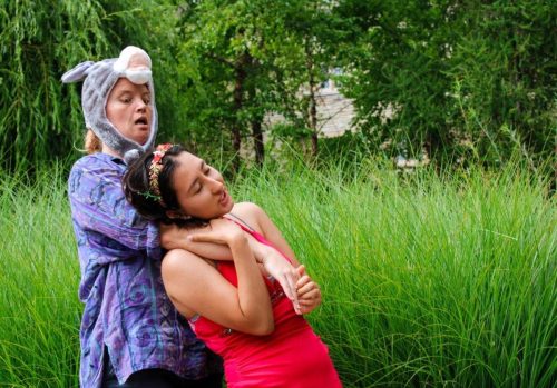 A Midsummer Nights Dream