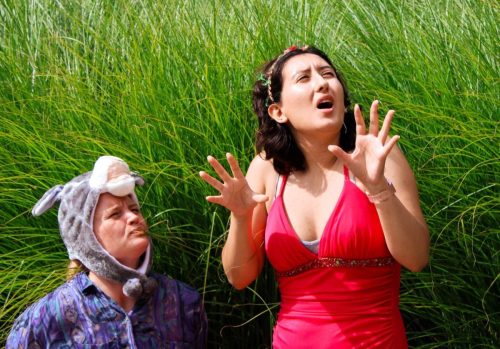 A Midsummer Nights Dream